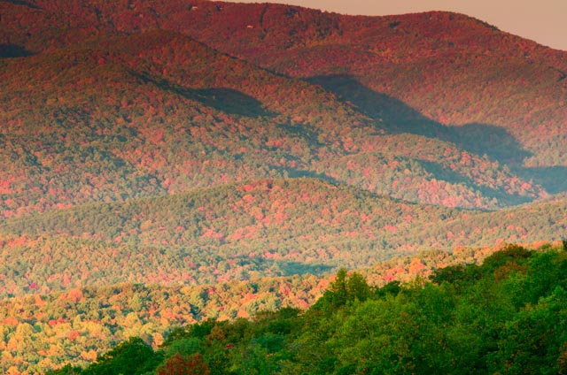 Autumn on the Ridge - Janice L. Edens