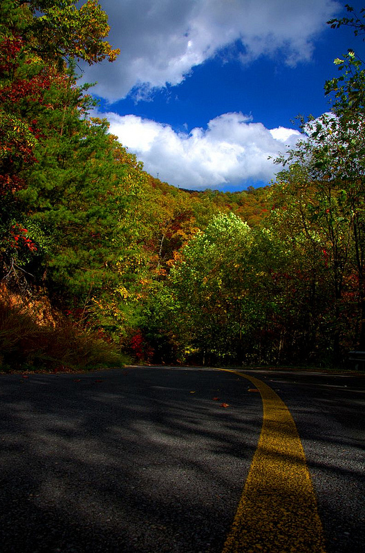 Through the Mountains - Rick Cannon