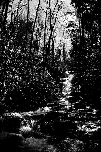 Rippling Stream - Rick Cannon