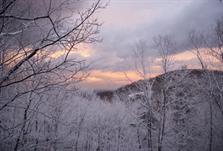 Ice on the Mountain - Janice L. Edens